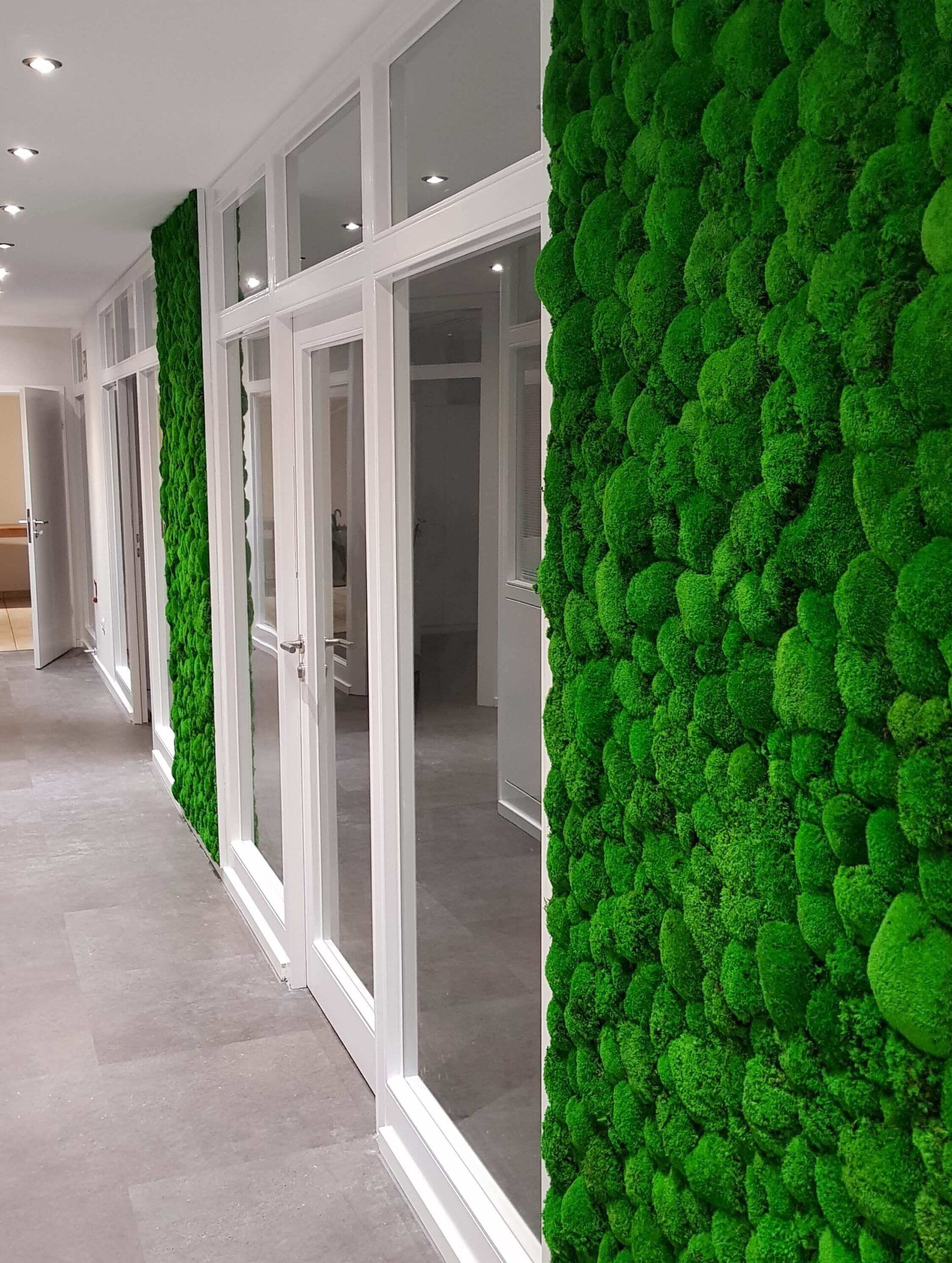 focus privacy en creativiteit